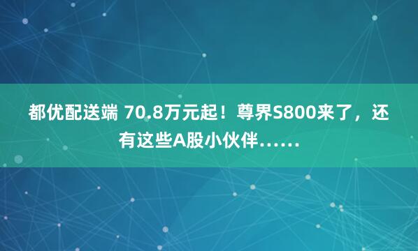 都优配送端 70.8万元起！尊界S800来了，还有这些A股小伙伴……