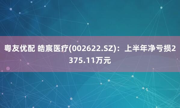 粤友优配 皓宸医疗(002622.SZ)：上半年净亏损2375.11万元
