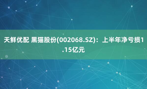 天鲜优配 黑猫股份(002068.SZ)：上半年净亏损1.15亿元