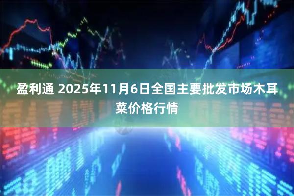 盈利通 2025年11月6日全国主要批发市场木耳菜价格行情